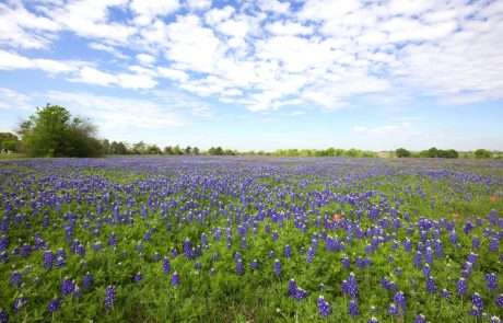 Waco SEO Company | Fire Source Media | Dallas, Texas